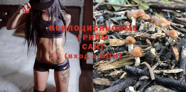 PSILOCYBIN Покров