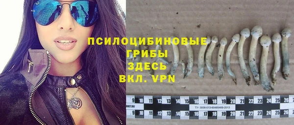бошки Балахна