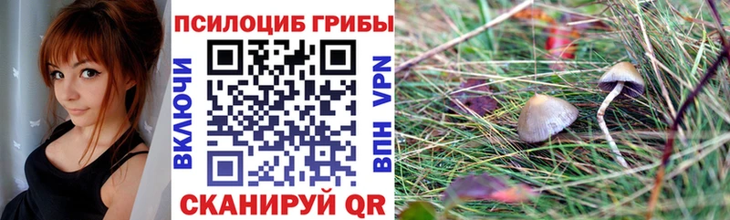 что такое   Голицыно  Галлюциногенные грибы ЛСД 